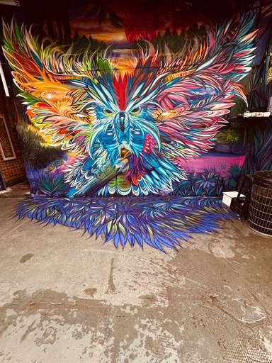 Owl