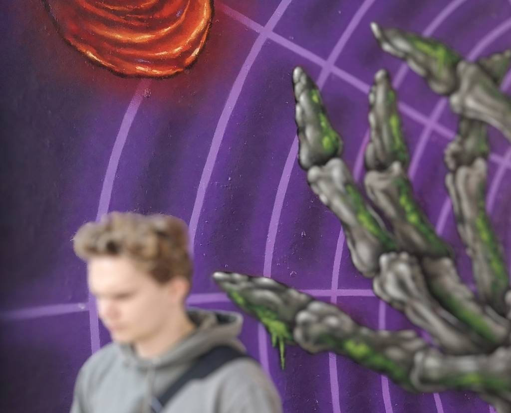 Feed item