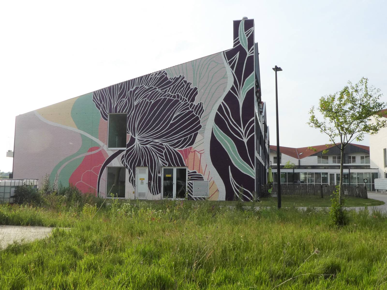 Whoups&mdash;De klaproos