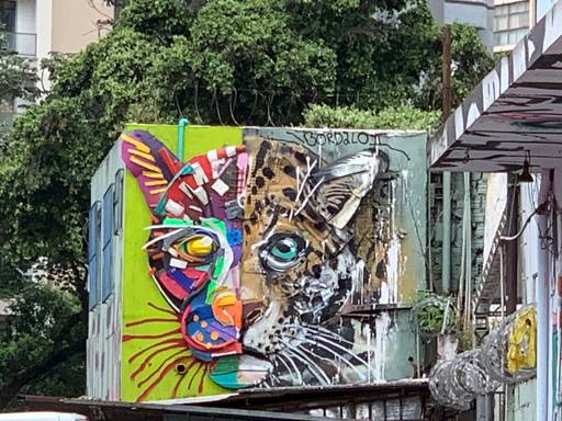 Half Onça Pintada